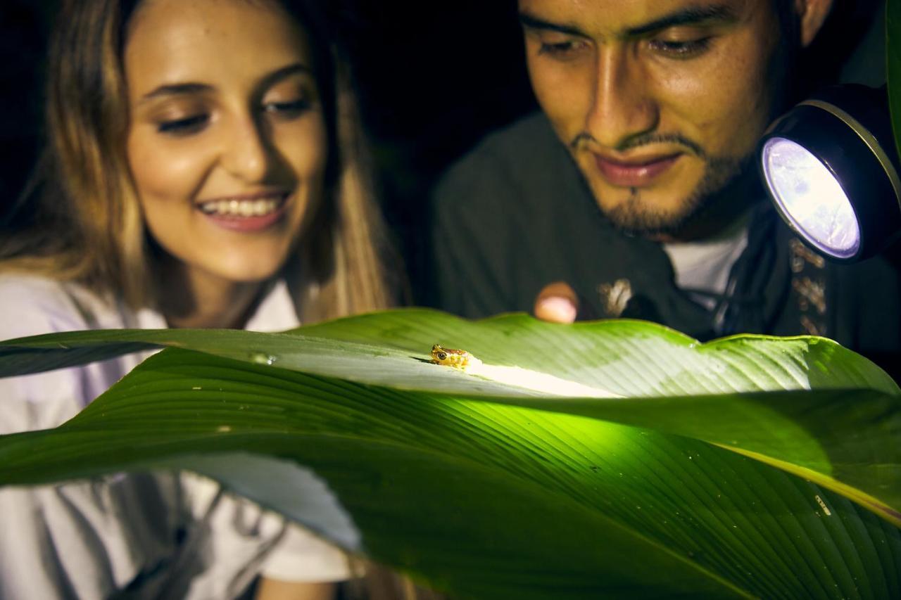 Bosque Guardian Lodge Tarapoto Luaran gambar