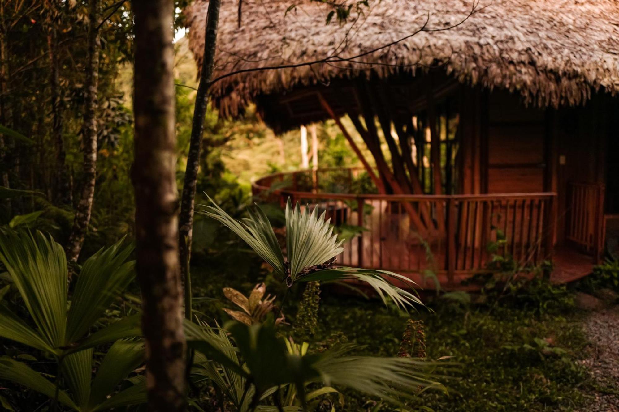 Bosque Guardian Lodge Tarapoto Luaran gambar
