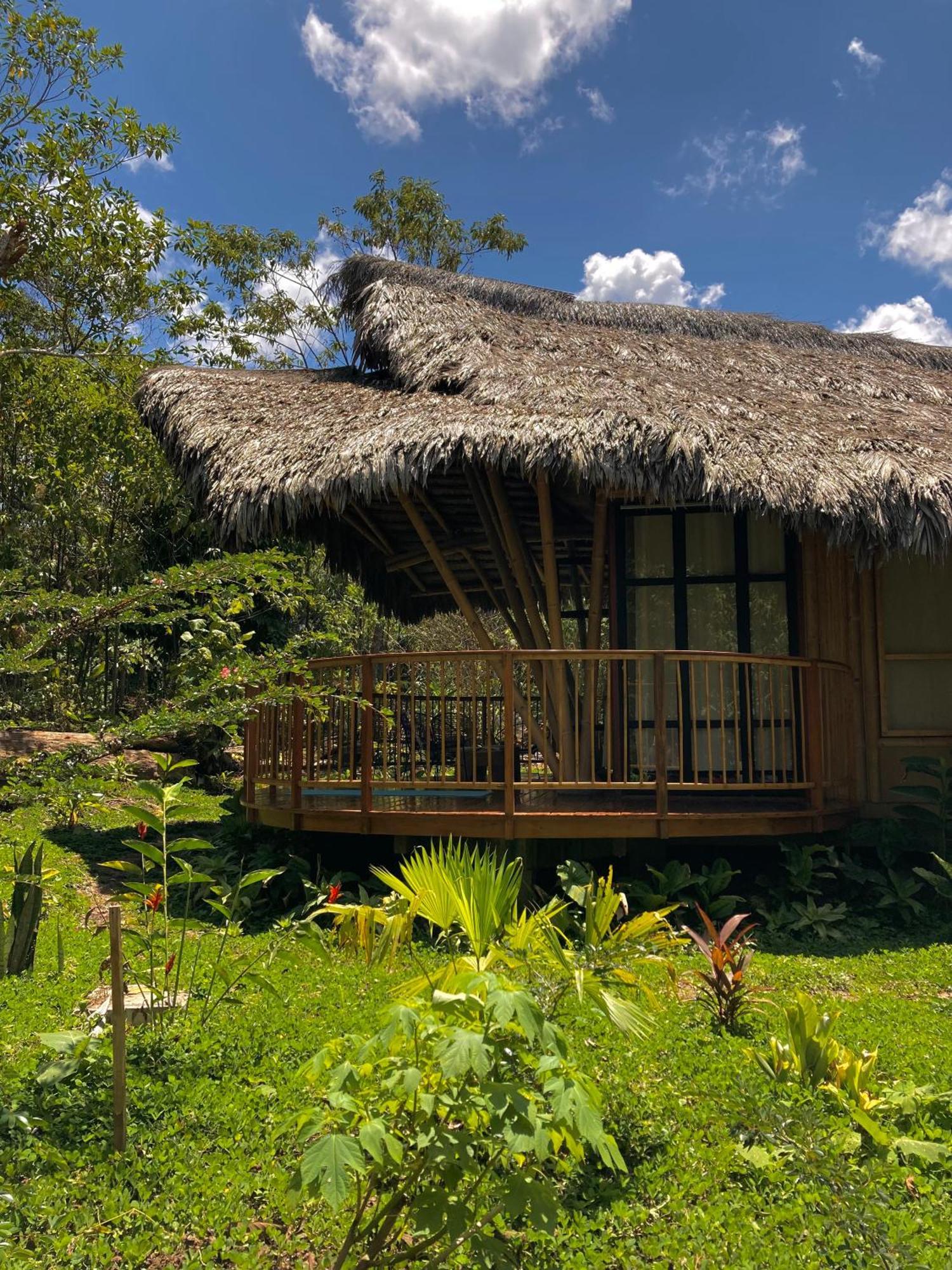 Bosque Guardian Lodge Tarapoto Luaran gambar