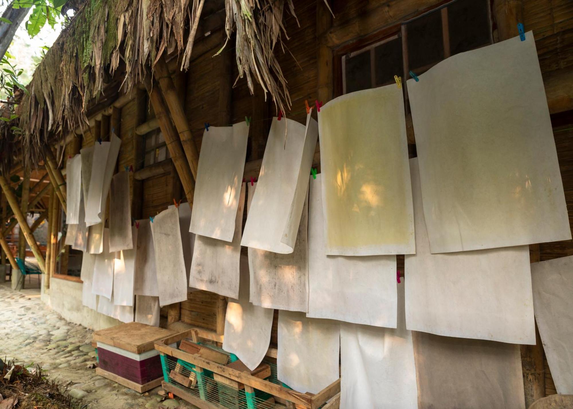 Bosque Guardian Lodge Tarapoto Luaran gambar