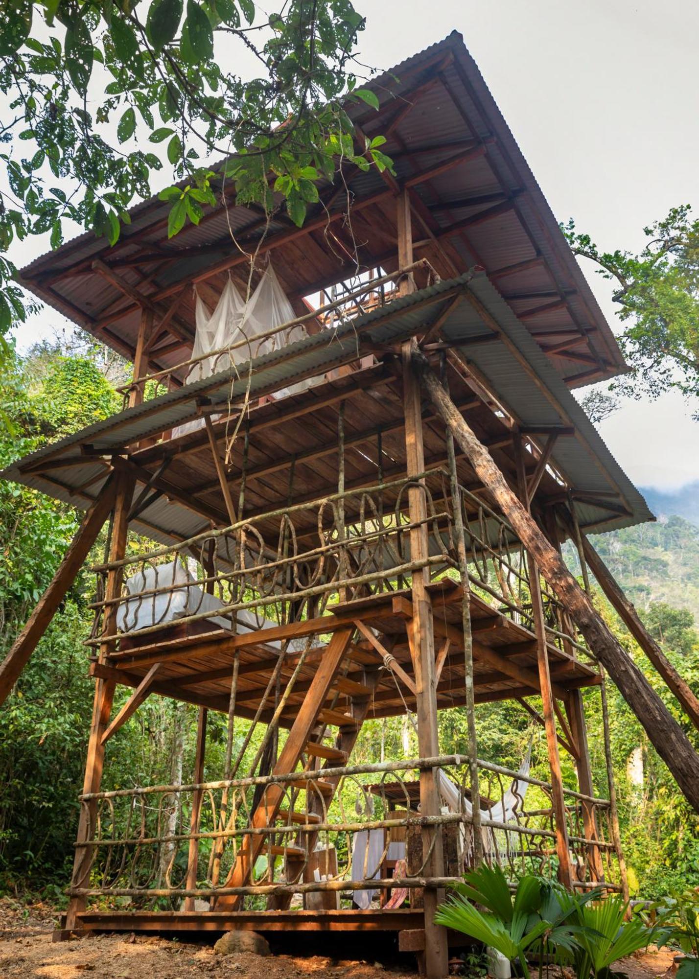 Bosque Guardian Lodge Tarapoto Luaran gambar