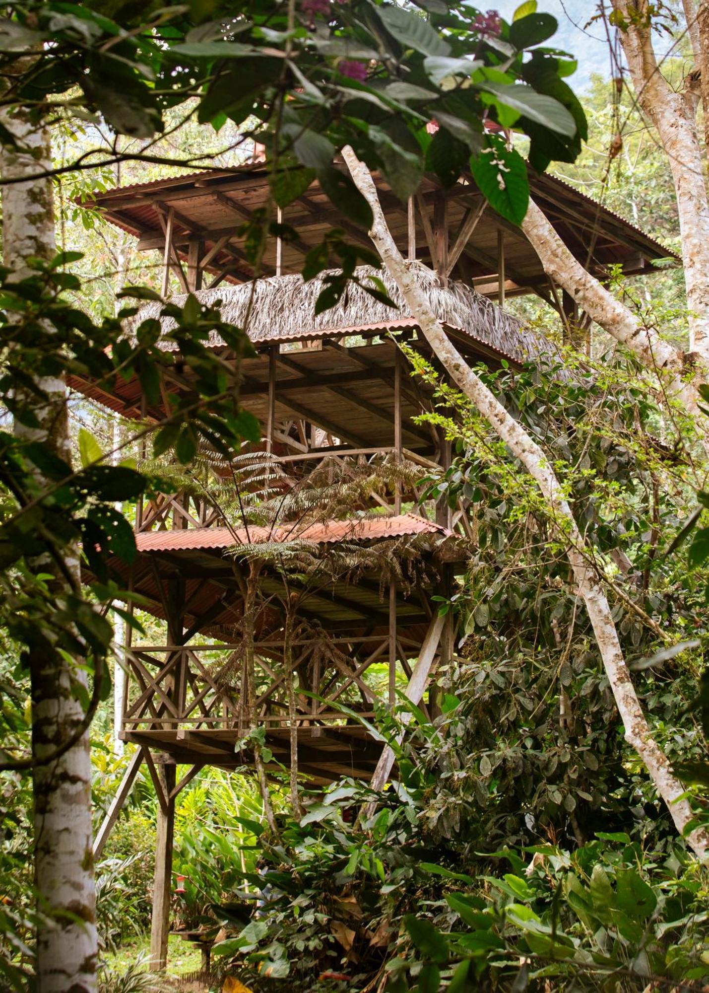 Bosque Guardian Lodge Tarapoto Luaran gambar