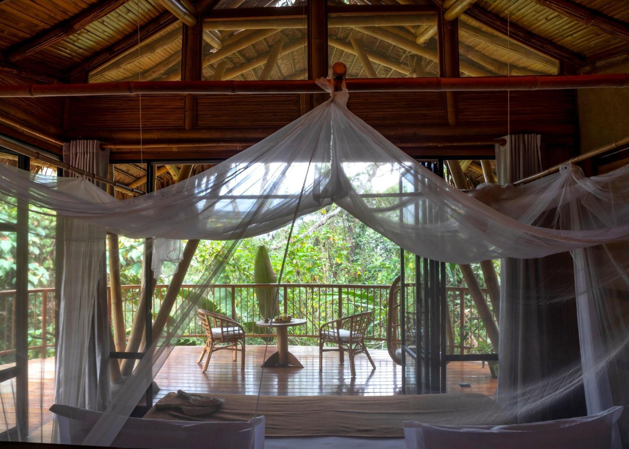 Bosque Guardian Lodge Tarapoto Luaran gambar
