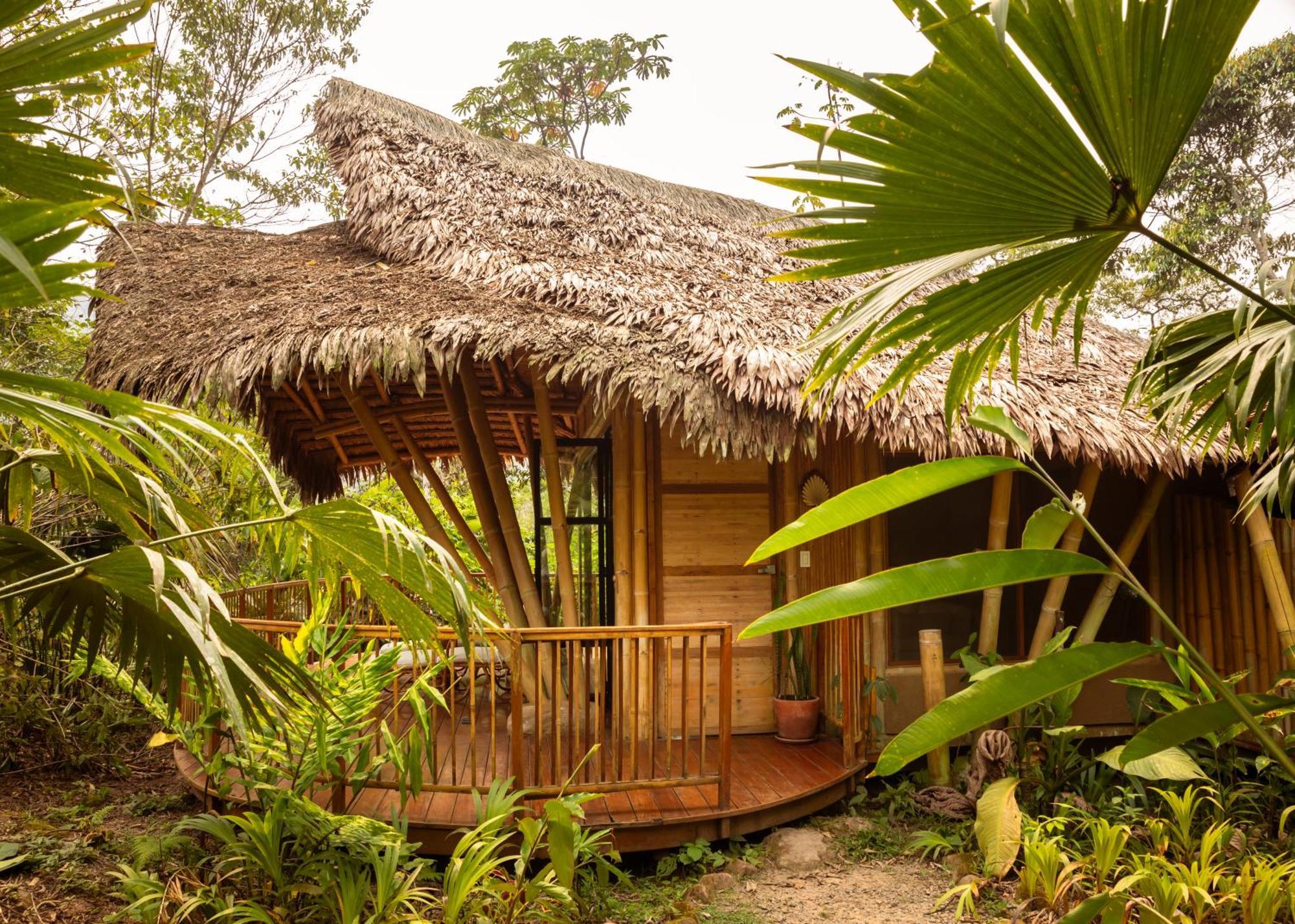 Bosque Guardian Lodge Tarapoto Luaran gambar